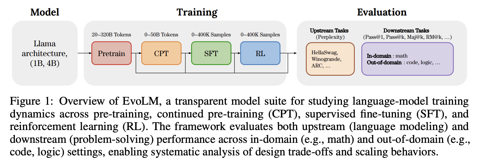EvoLM: In Search of Lost Language Model Training Dynamics